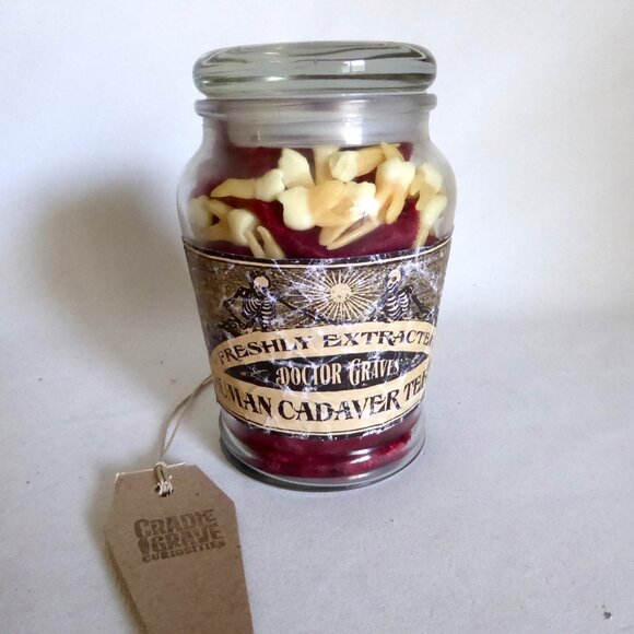 NEW 5.5” APOTHECARY EXTRACTED HUMAN CADAVER TEETH HALLOWEEN BOTTLE PROP - Picture 1 of 12